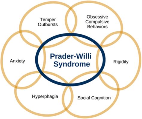 prada willi and autism|Prader–Willi syndrome and autism spectrum disorders: an .